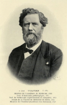 Edmé Félix Alfred Vulpian -  Bild