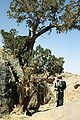 In the Tassili n'Ajjer mountains of Saharan Algeria