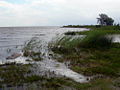 Shoreline at Mustvee, Estonia. July 25, 2007.