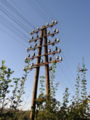 * Nomination Telegraph pole --Wikimol 20:06, 23 July 2006 (UTC) * Decline The foreground weeds are a distraction that may have been avoidable Gnangarra 12:41, 24 July 2006 (UTC)