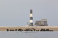 Leuchtturm von Walvis Bay (Walfischbucht)