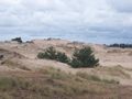 English: Dunes in Slowinski National Park Polski: Wydmy w Słowińskim Parku Narodowym