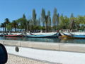 The moliceiros, traditional boat