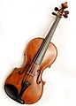 musical instruments (a Violin)