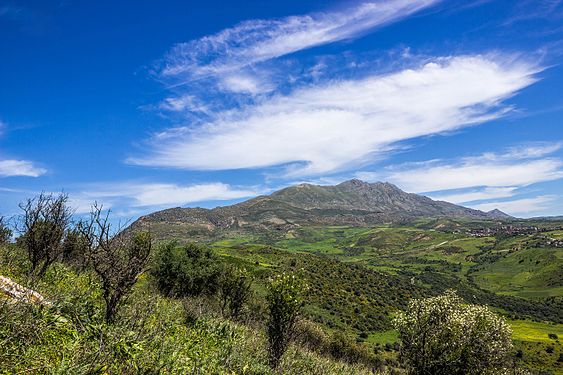 Mont Aicha at Mila Province Photograph: Tonivettel