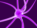 neuron