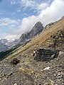 Walcott Quarry of the Burgess Shale (Middle Cambrian, British Columbia).