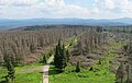 Čeština: Výhled z rozhledny na Poledníku, který je součástí národního parku Šumava, nedaleko obce Prášily v okrese Klatovy English: View from Poledník, national park Šumava, near Prášily in Klatovy District