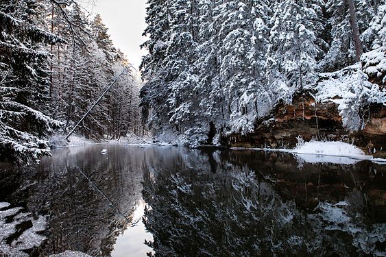 Ahja River Valley Landscape in Põlva County, Estonia, by Külli Kolina (Kylli28)