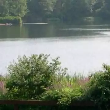 Houghton's Pond with surrounding greenery and calm water, part of the Blue Hills Reservation.