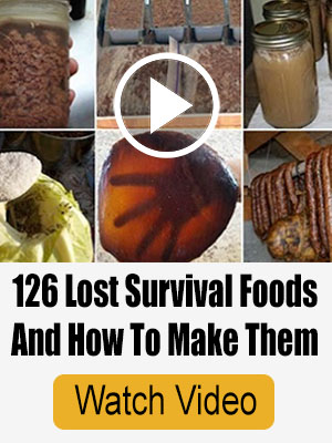 Lost Super Foods