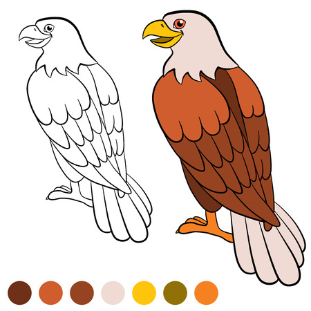 Dibujo Para Colorear. Color Me: águila. águila Calva Lindo Se Sienta Y  Sonríe. Ilustraciones Svg, Vectoriales, Clip Art Vectorizado Libre De  Derechos. Image 58544317.