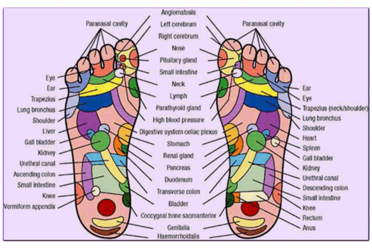 Acute and Chronic Sciatica - Causes and removing the pain.