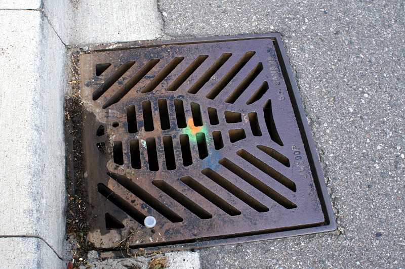 Fishy catch basin in Waterloo