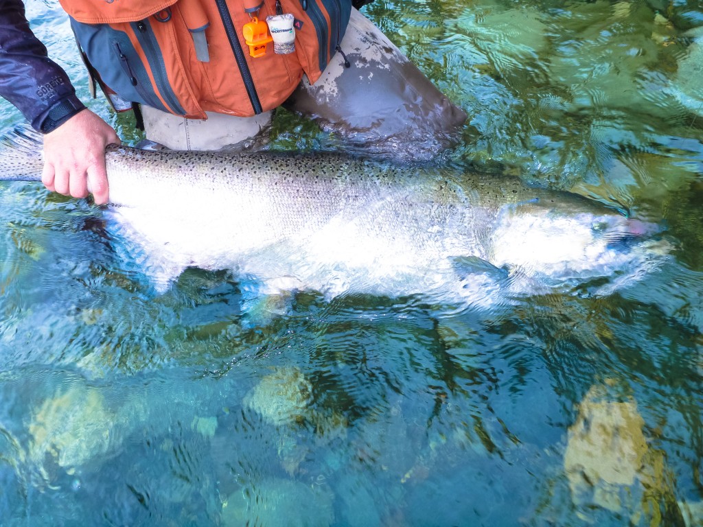 river fishing for Salmon Vancouver Island