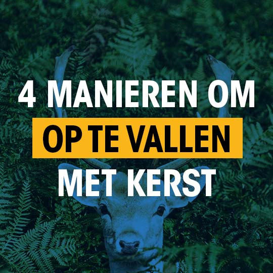 4 manieren om op te vallen met kerst