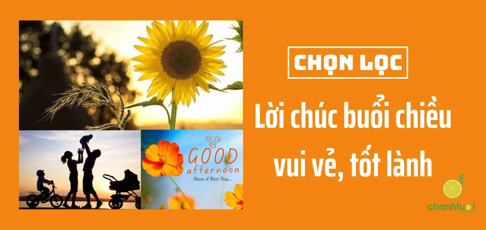 Lời chúc buổi chiều vui vẻ, tốt lành, truyền năng lượng