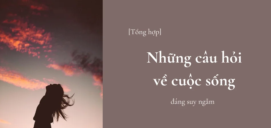 những câu hỏi về cuộc sống