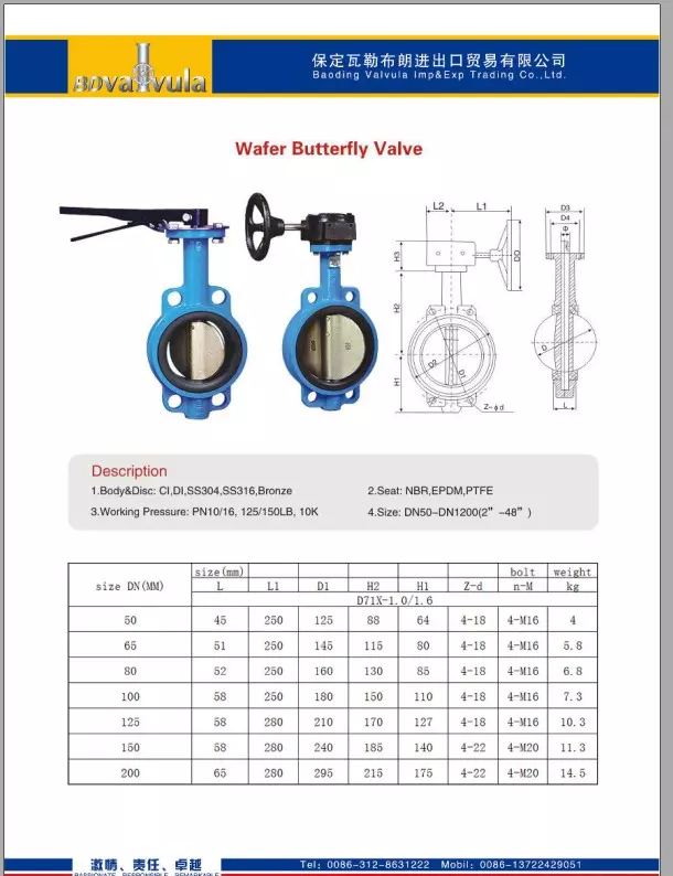 Catalog van bướm BaoDing