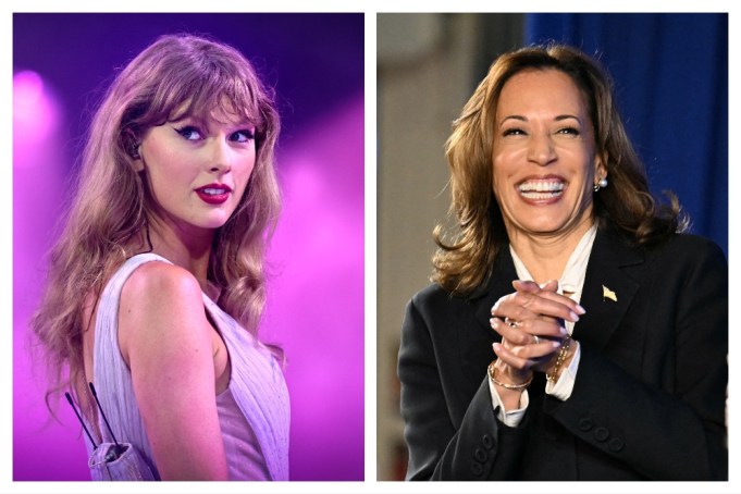 Taylor Swift and Kamala Harris endorse endorses endorsement presidential debate cat lady