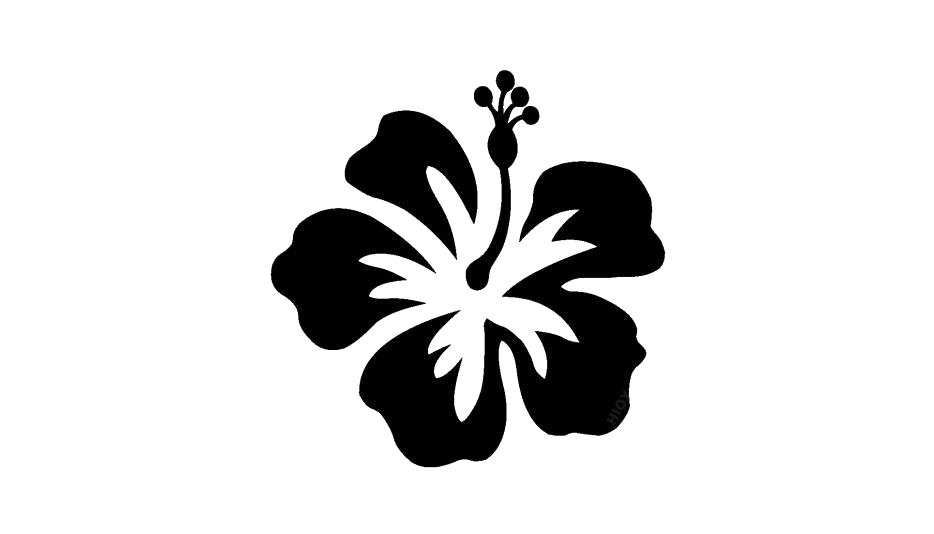 Hibiscus Flower Silhouette PNG