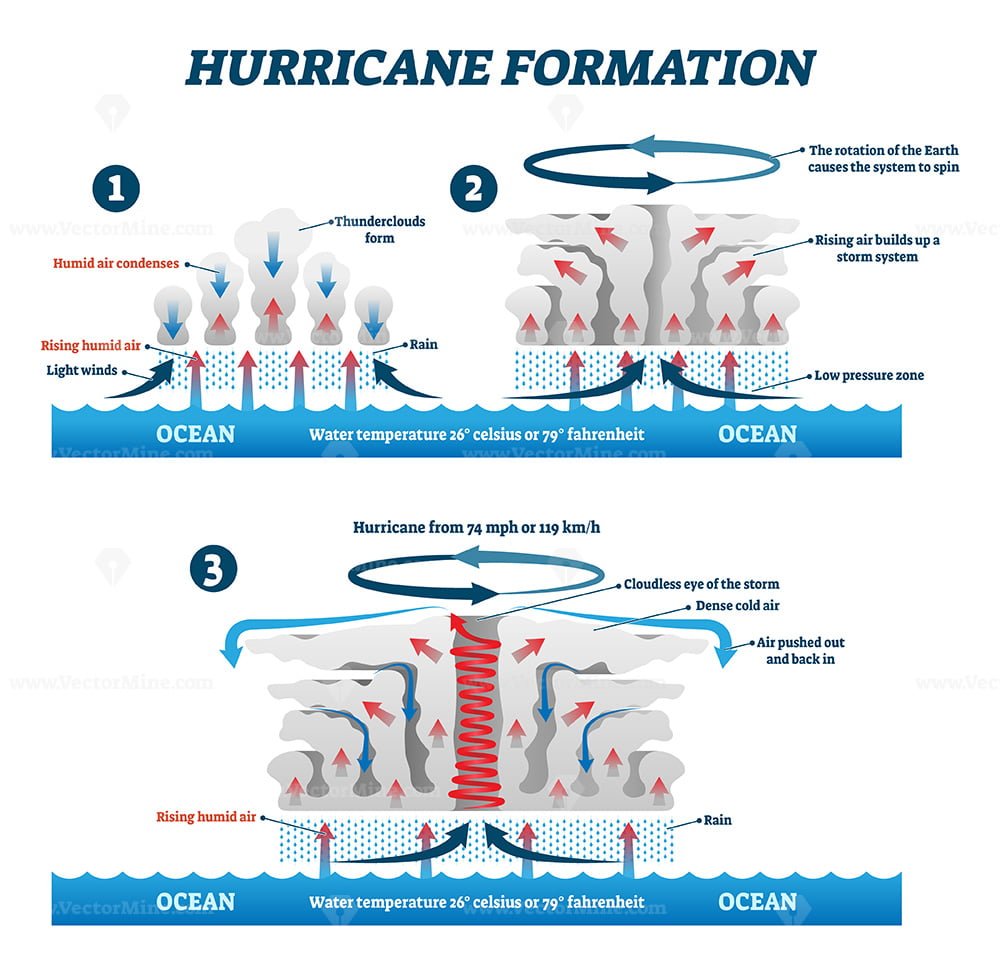 Hurricane formation labeled vector illustration – VectorMine