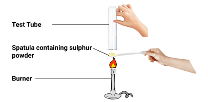 NCERT Solutions for Class 10 Science Chapter 3 Metals And Non Metals ...