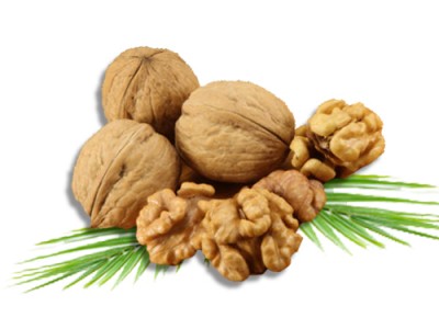 Stone Fruit Walnut Uses and Health Benefits