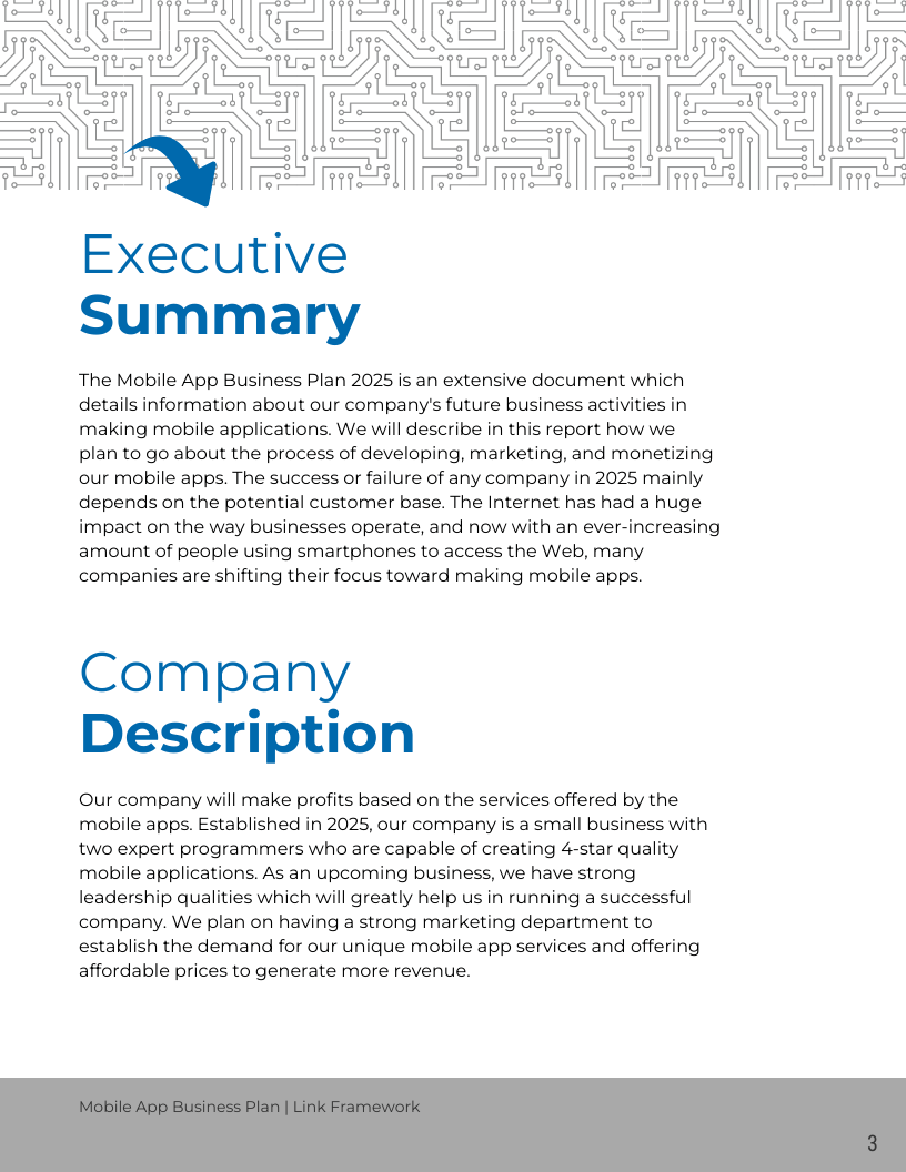 Executive Summary & Company Description