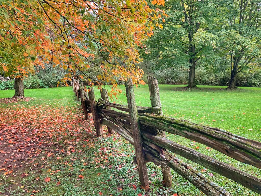 Early fall foliage in Grand Isle State Park, Vermont.