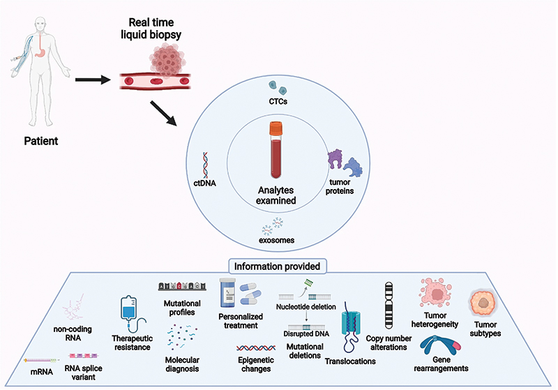 Oncok9 Liquid Biopsy UK Stockists | www.bharatagritech.com