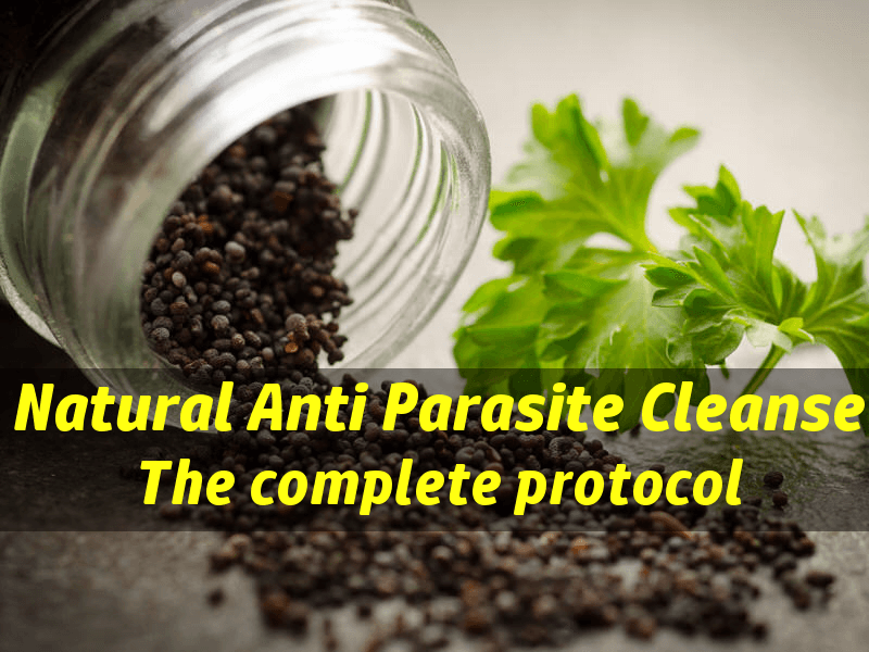 natural parasite cleanse