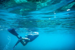 diving at los cabos