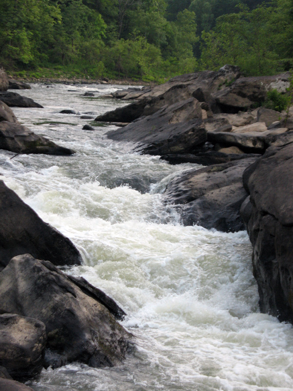 Angel Falls Rapid Trail – Victoria Steele Logue