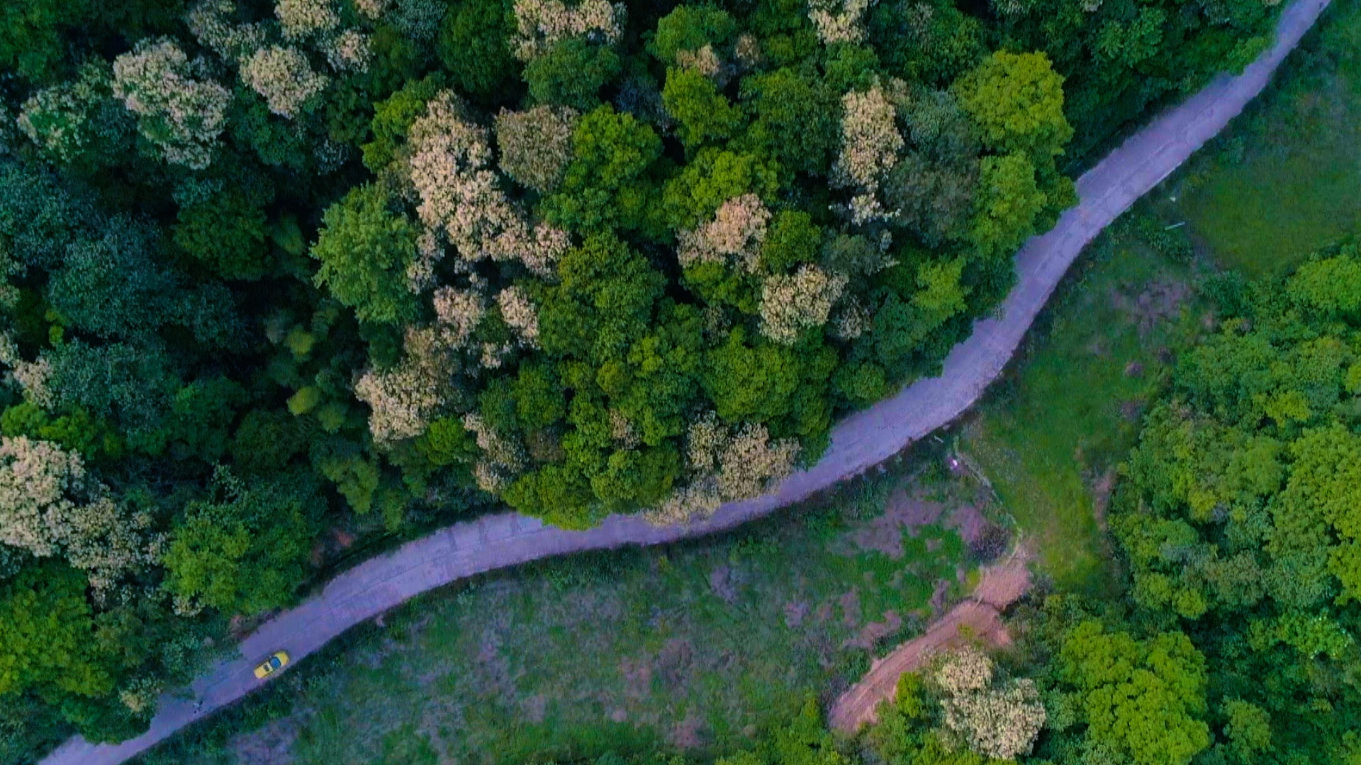 Bird's eye view of Jiangxi: Endless treasure among the mountains - CGTN