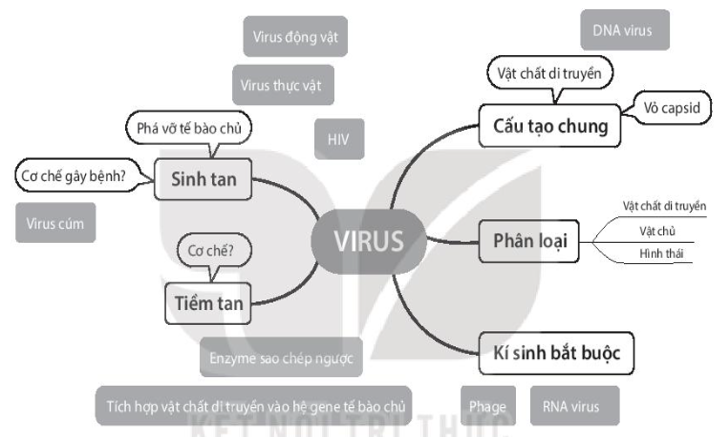 Media VietJack