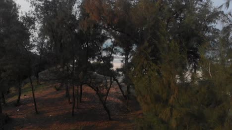 Flying-over-trees-at-Trung-Thanh-Beach-Vietnam,-aerial