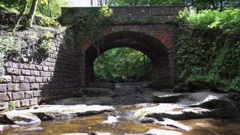 A-lot-of-mosquitos-flying-in-a-bunch-abode-flowing-river