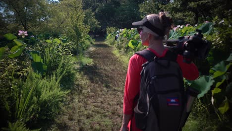 Steadicam-motion-of-a-photographer-as-she-walks-with-tripod-and-gear-among-lotus-flowers