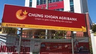 Chứng khoán Agriseco bị phạt và truy thu thuế hơn 378 triệu đồng