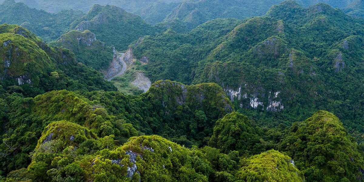 Cat Ba National Park