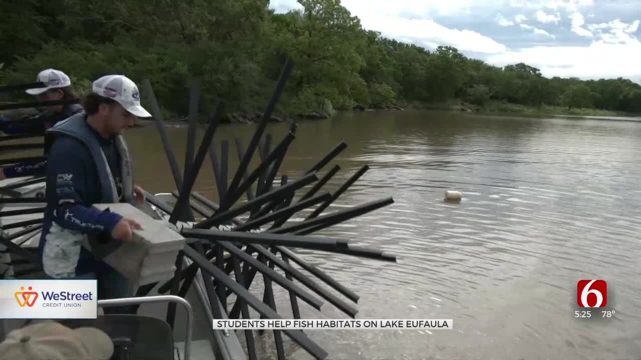 Students Help Fish Habitats On Lake Eufaula Ahead Of Major League ...