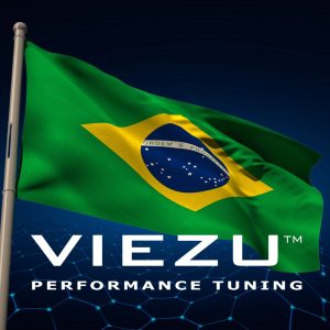 VIEZU BRASIL