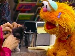 Episode 3505 | Muppet Wiki | FANDOM powered by Wikia