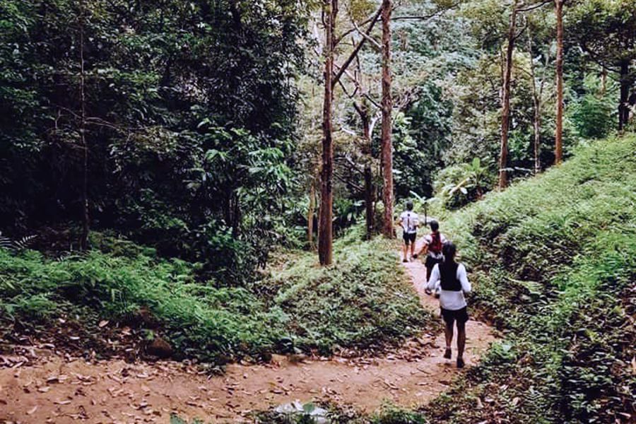 Jungle Trekking - Things to do in Kamala Beach