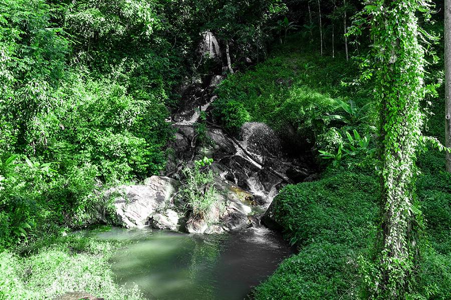 Kamala Beach Waterfall