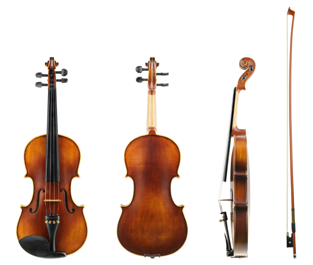 The Violin Family - Violin