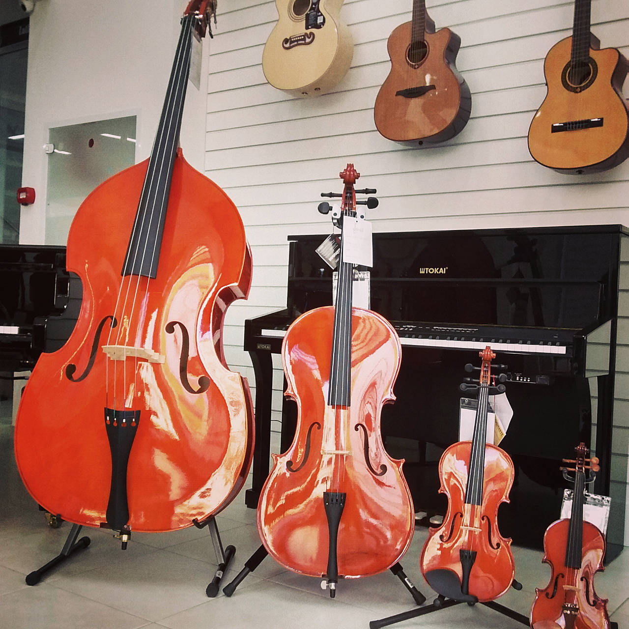 The Violin Family