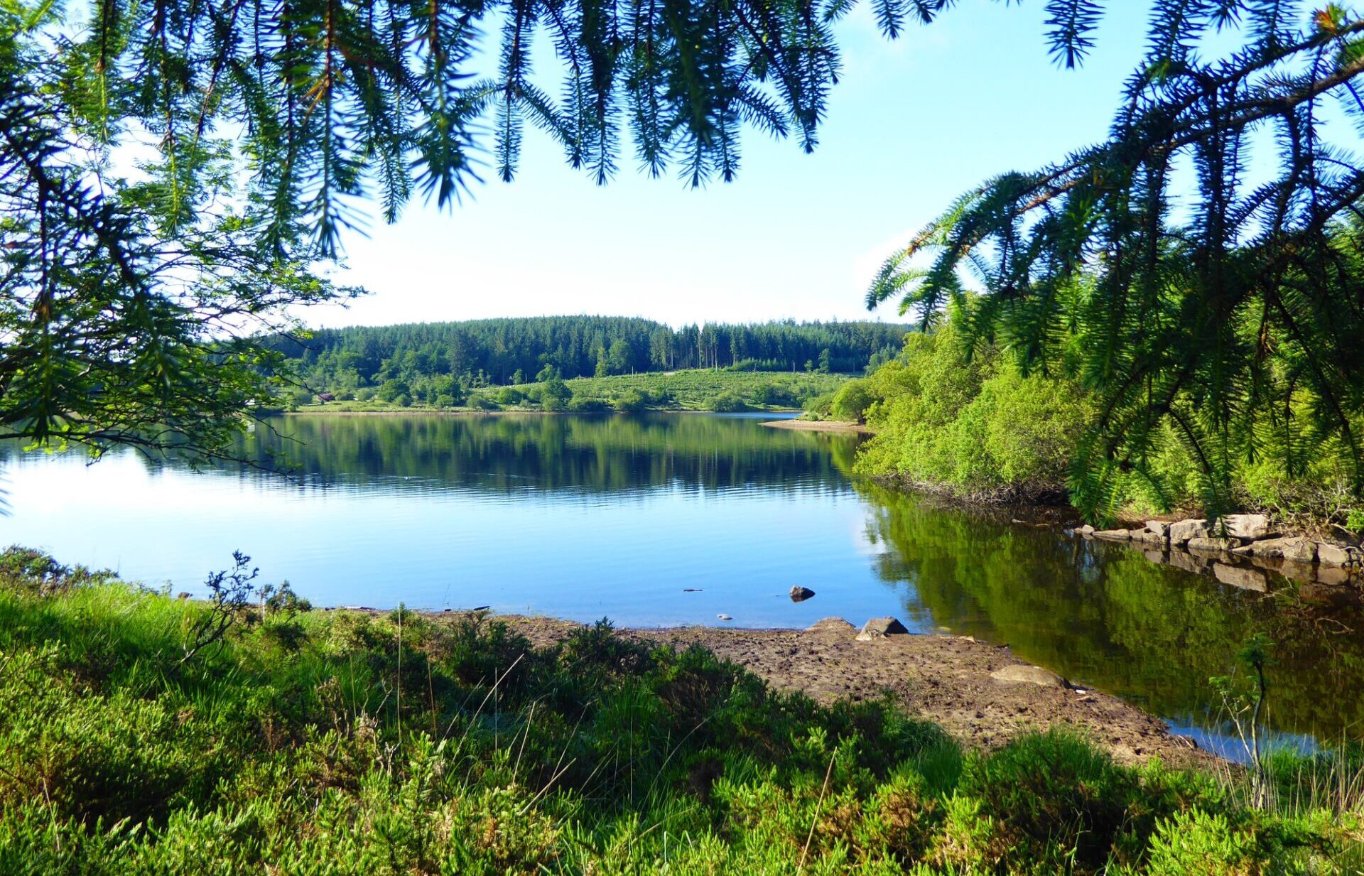 Fernworthy Reservoir Dartmoor