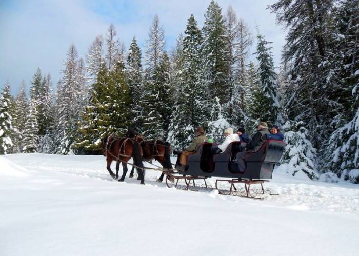 snowy sleigh ride